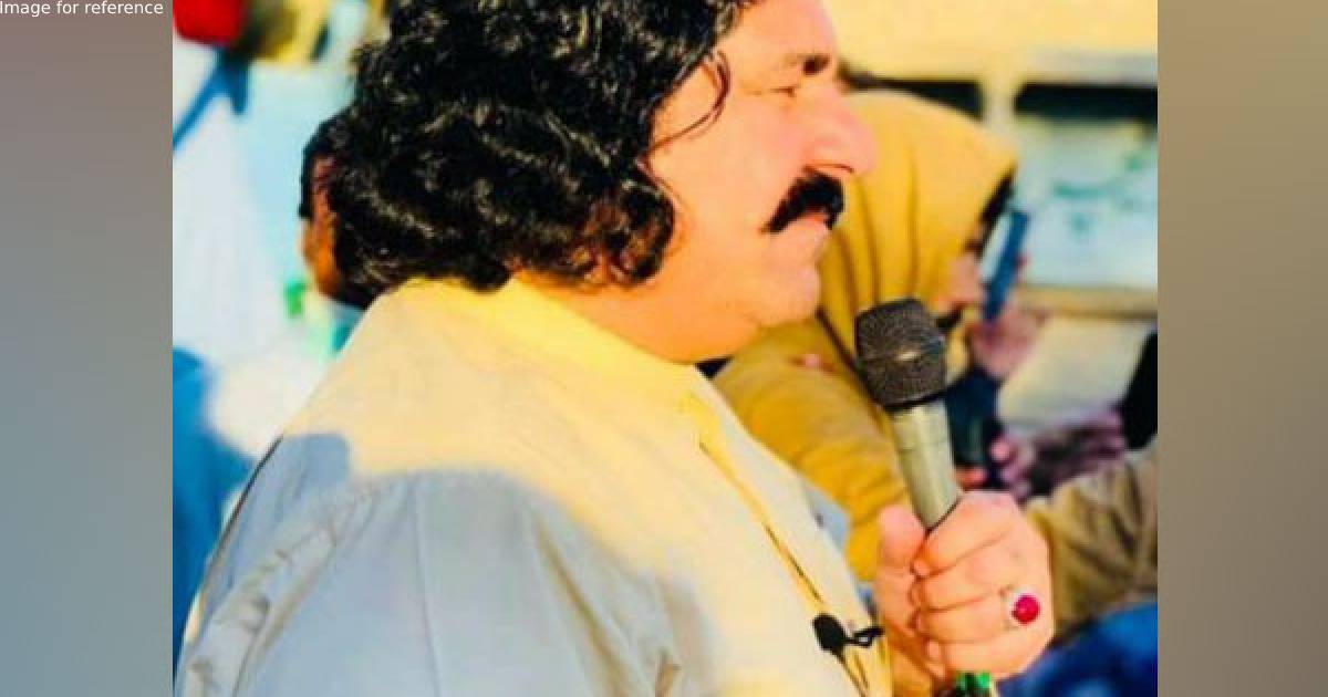 Pakistan: Pashtun leader Ali Wazir gets bail in 'incitement against state institutions' case
